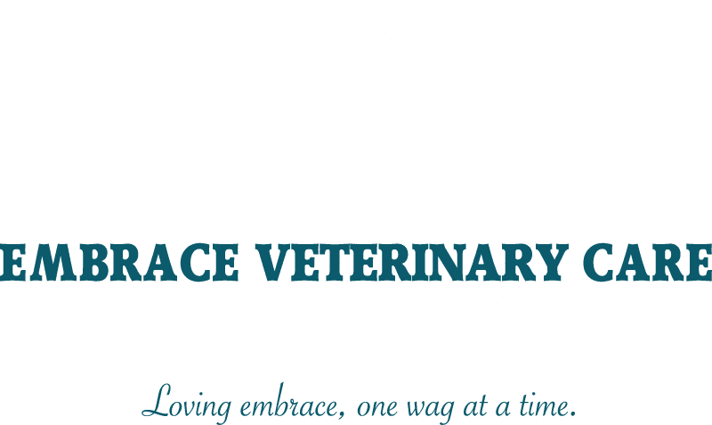 embrace veterinary care logo